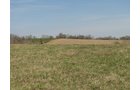 Property photo 47 - 137 Acres in 2 Tracts - 64 Tillable Acres, Potential Building Sites, Hunting